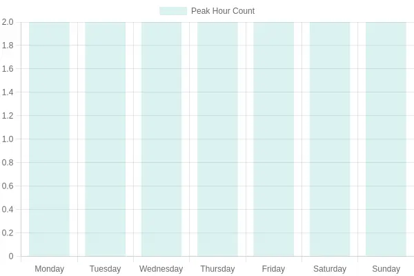 Peak Hours Chart